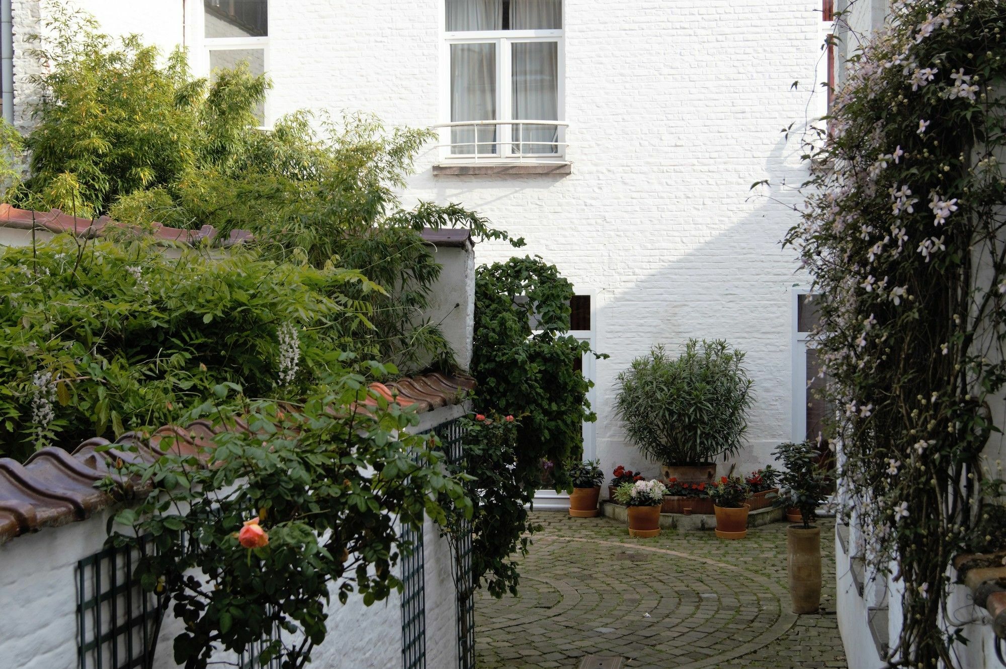 Appartement Impasse Pitchoune 브뤼셀 외부 사진